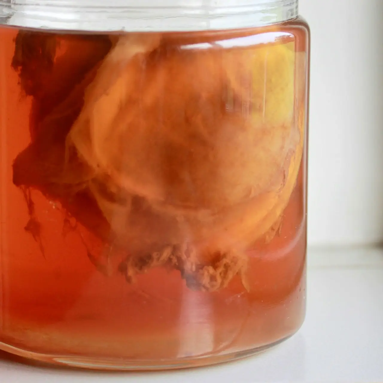 Boissons fermentées : guide complet