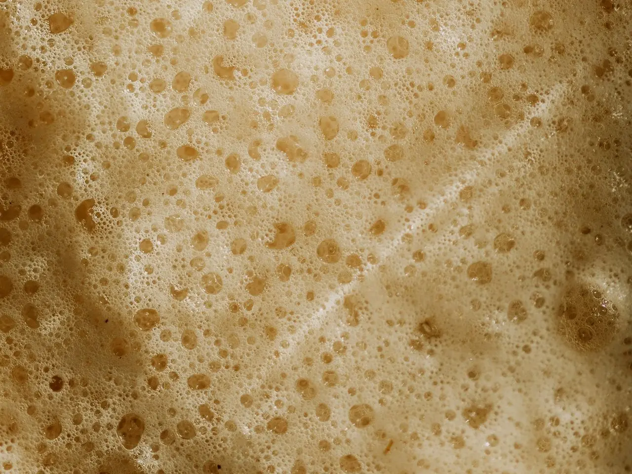 Erreurs fréquentes en fermentation