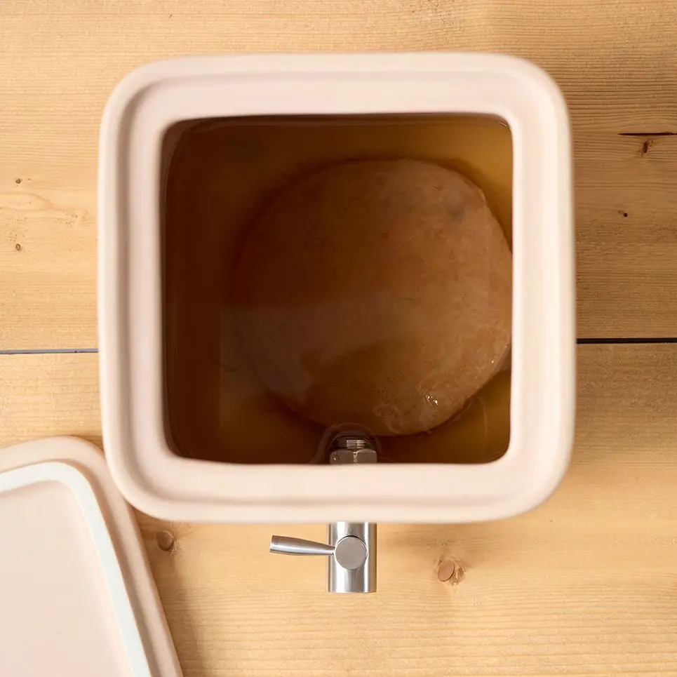 Mère de kombucha - Kube